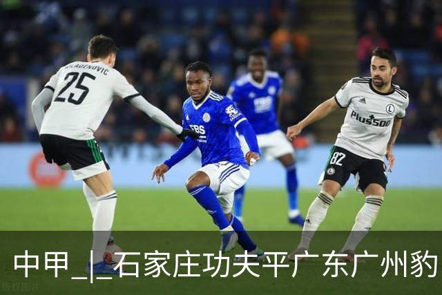 中甲 | 石家庄功夫平广东广州豹