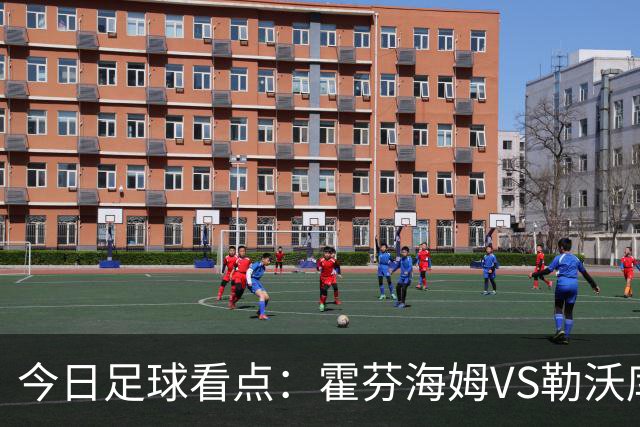 今日足球看点：霍芬海姆VS勒沃库森，弗赖堡VS拜仁慕尼黑，皇家社会VS莱万特，巴塞罗那VS皇家马德里