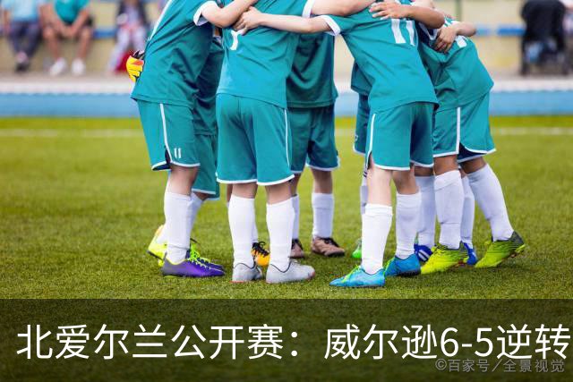 北爱尔兰公开赛：威尔逊6-5逆转绝杀克雷吉，囧哥赛季首进排名赛决赛