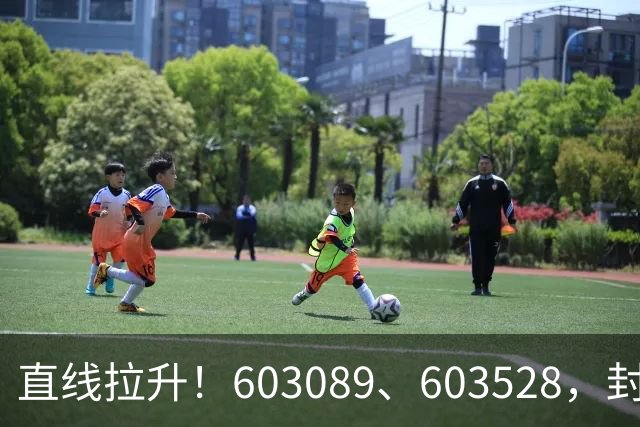 直线拉升！603089、603528，封涨停！