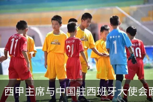 西甲主席与中国驻西班牙大使会面沟通姆巴佩风波，皇马仍未给出诚意道歉